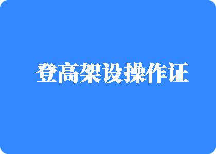 插捅bb在线登高架设操作证